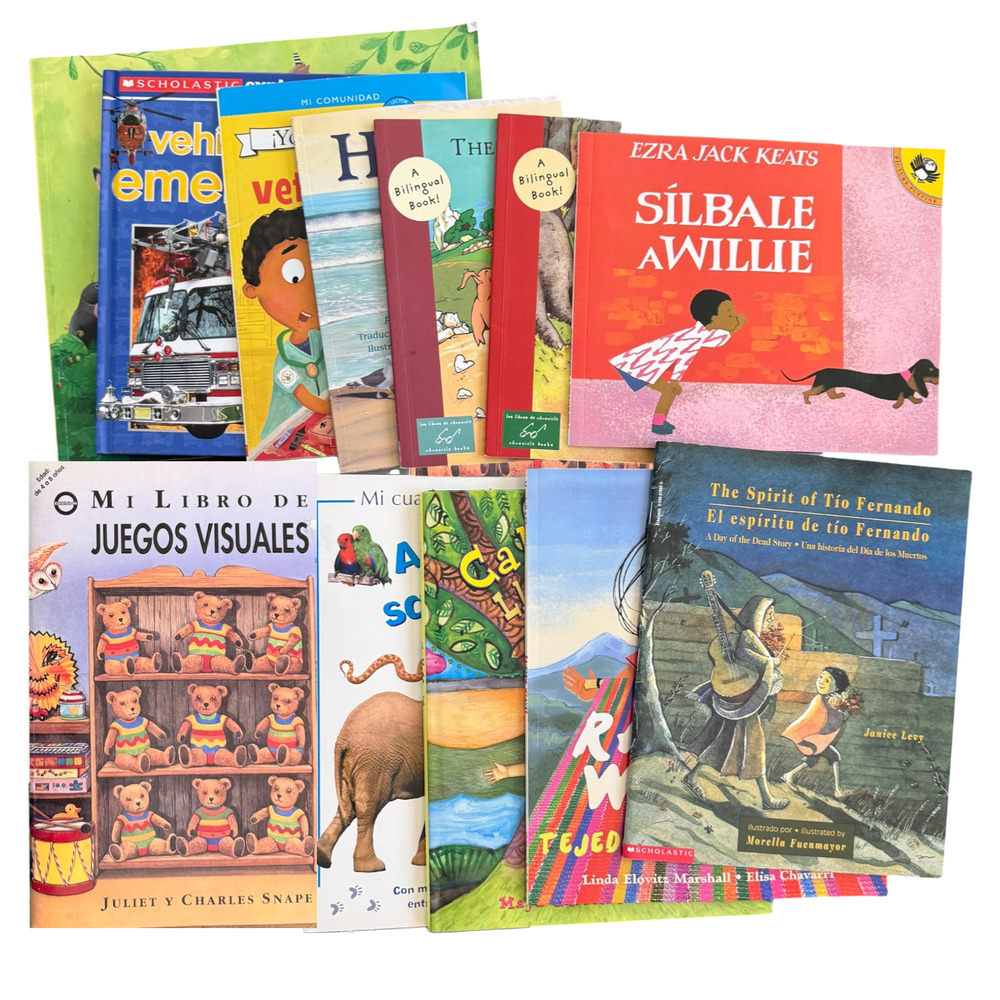 Lot of 12 Spanish Children’s Picture Books Libros en Espanol Bilingual English